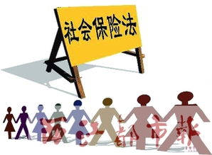 個人社保掛靠全解析 價格、型號與代辦服務指南